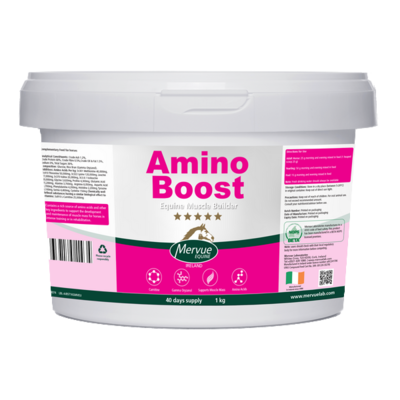 AminoBoost 1 kg