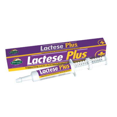 Lactese Plus 30 ml