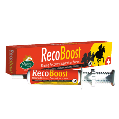 RecoBoost 80 ml