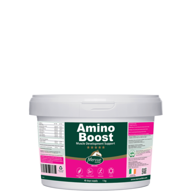 AminoBoost 1 kg  MERVUE EQUINE