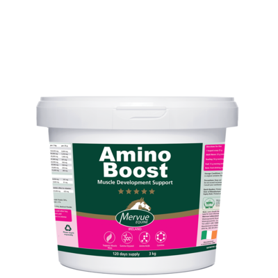 AMINOBOOST 3 kg