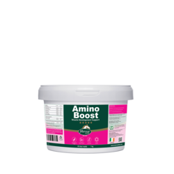 AminoBoost 1 kg  MERVUE EQUINE