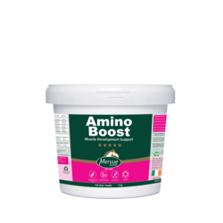 AMINOBOOST 3 kg